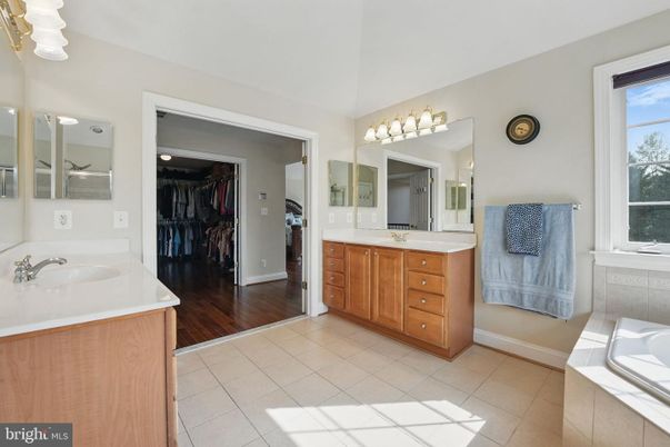 Bathroom, Dual Sink Vanities, Interior, Wood Texture Flooring