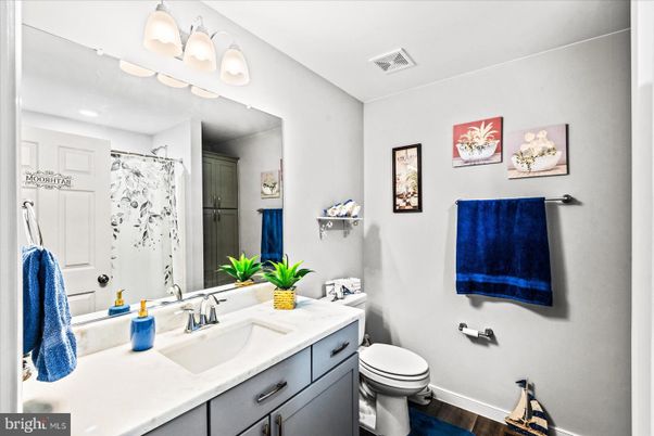 Bathroom, Interior, Recessed Lighting, Wood Texture Flooring