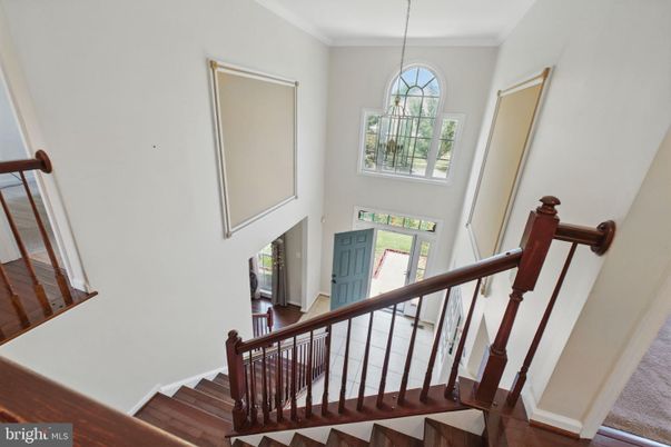 Interior, Pendant Lights