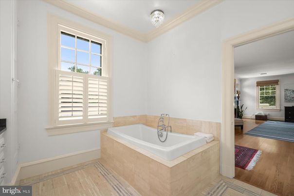 Bathroom, Interior, Wood Texture Flooring