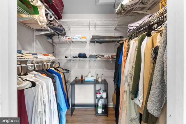 Interior, Walk-in Closets, Wood Texture Flooring