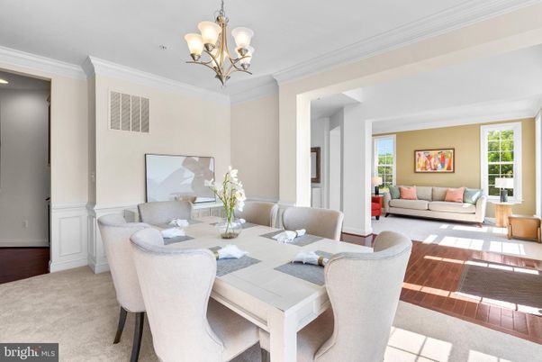 Chandelier, Dining room, Interior, Living room, Wood Texture Flooring