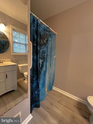Bathroom, Interior, Wood Texture Flooring