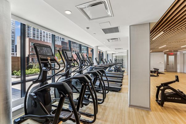Fitness Equipment, Gym, Interior, Recessed Lighting, Wood Texture Flooring