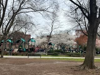 Backyard, Exterior, Playground