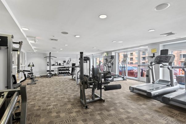 Fitness Equipment, Gym, Interior, Recessed Lighting