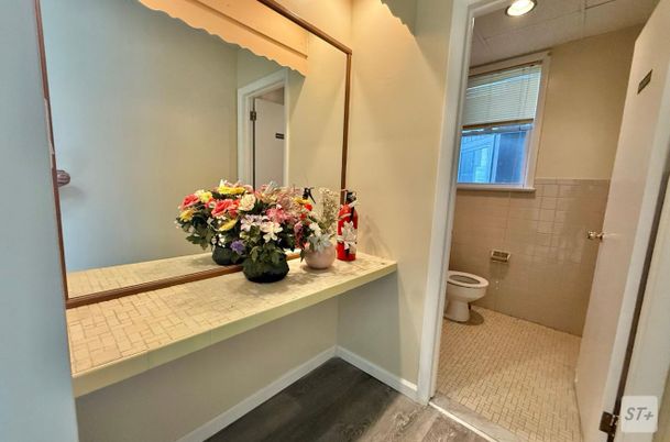 Bathroom, Interior, Recessed Lighting, Wood Texture Flooring