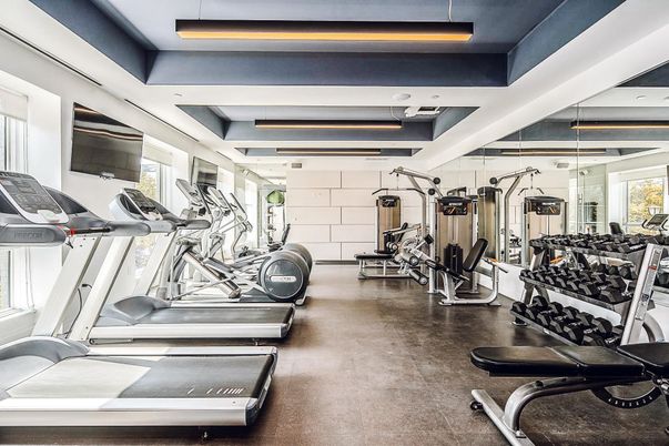 Fitness Equipment, Gym, Interior