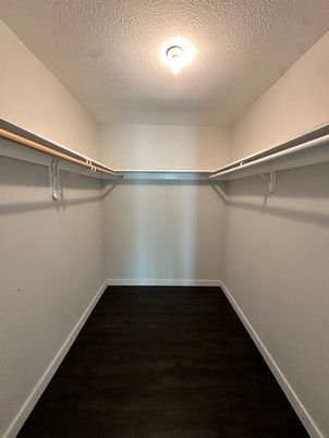 Interior, Walk-in Closets, Wood Texture Flooring