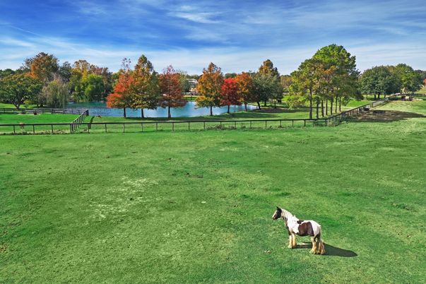 Backyard, Exterior, Tennis Courts