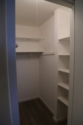 Interior, Walk-in Closets, Wood Texture Flooring
