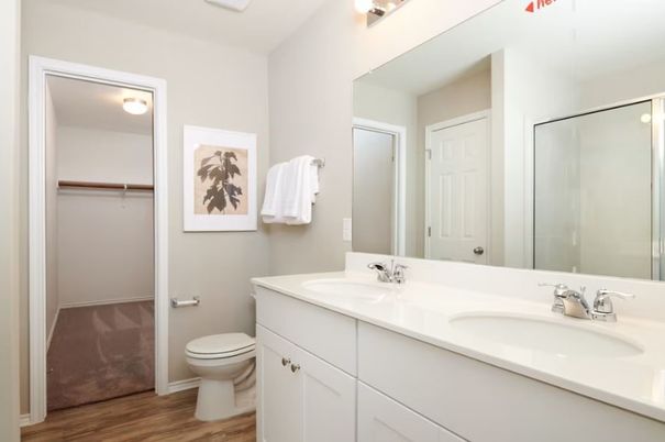Bathroom, Dual Sink Vanities, Interior, Wood Texture Flooring