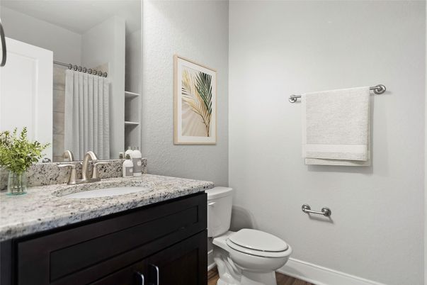 Bathroom, Interior, Wood Texture Flooring