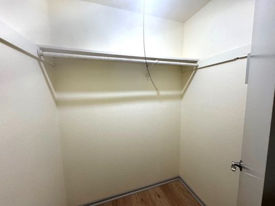 Interior, Walk-in Closets, Wood Texture Flooring