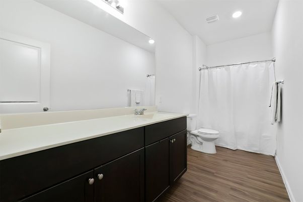 Bathroom, Interior, Recessed Lighting, Wood Texture Flooring