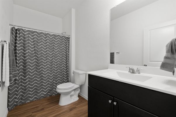 Bathroom, Interior, Wood Texture Flooring