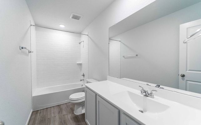 Bathroom, Interior, Recessed Lighting, Wood Texture Flooring