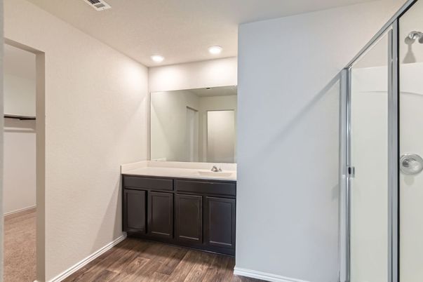 Bathroom, Interior, Recessed Lighting, Wood Texture Flooring