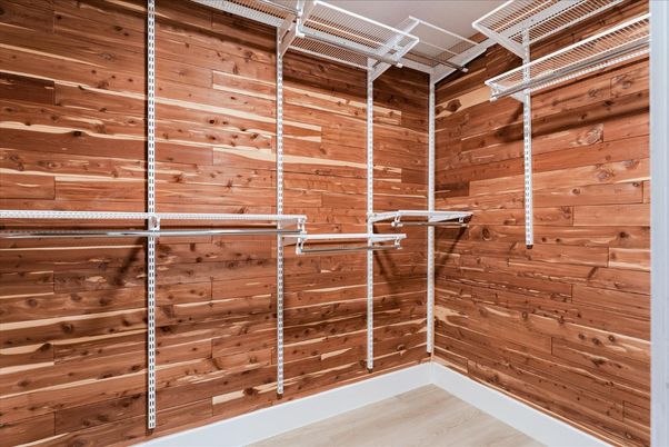 Interior, Wood Texture Flooring, Wooden Walls