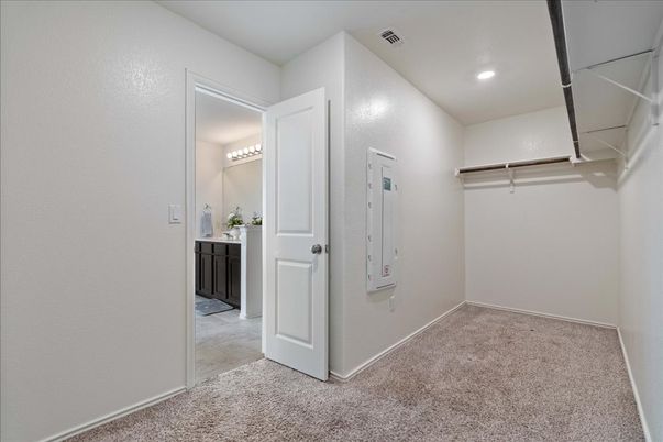 Interior, Recessed Lighting, Walk-in Closets