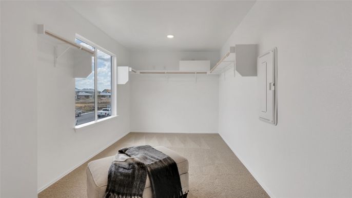 Interior, Recessed Lighting, Walk-in Closets