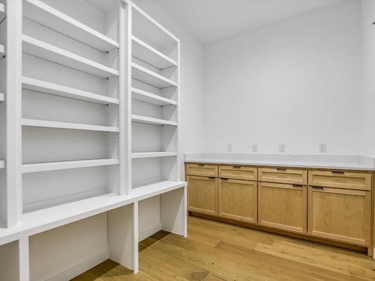 Interior, Walk-in Closets, Wood Texture Flooring