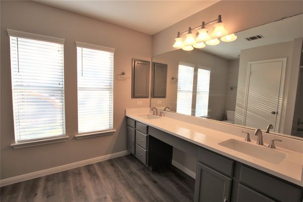 Bathroom, Dual Sink Vanities, Interior, Wood Texture Flooring