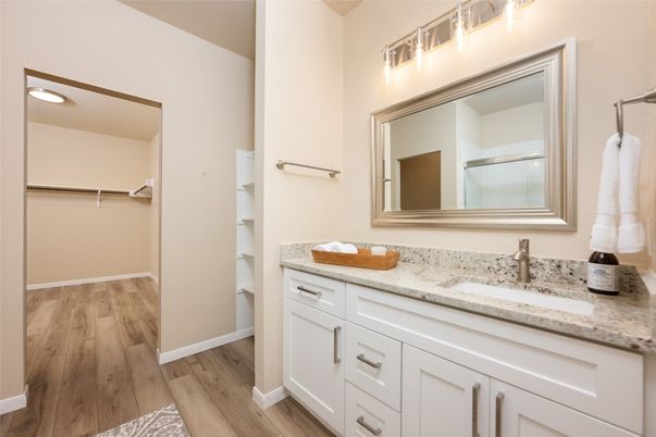 Bathroom, Dual Sink Vanities, Interior, Recessed Lighting, Walk-in Closets, Wood Texture Flooring