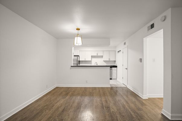 Empty room, Interior, Kitchen, Stainless Steel Appliances, Wood Texture Flooring