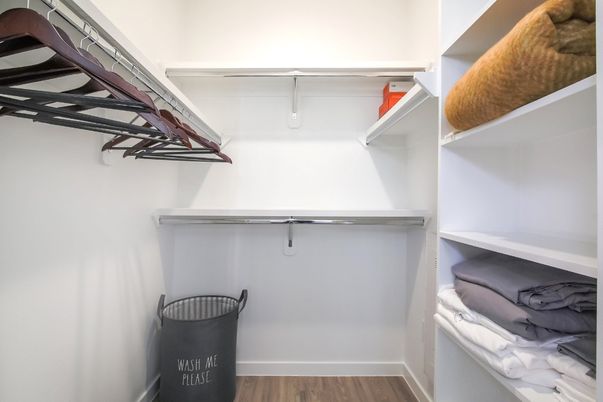 Interior, Walk-in Closets, Wood Texture Flooring