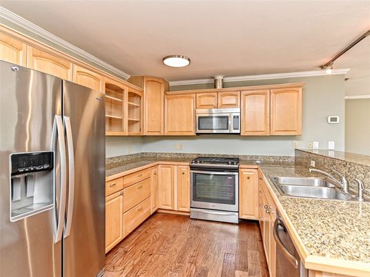 Interior, Kitchen, Stainless Steel Appliances, Wood Texture Flooring