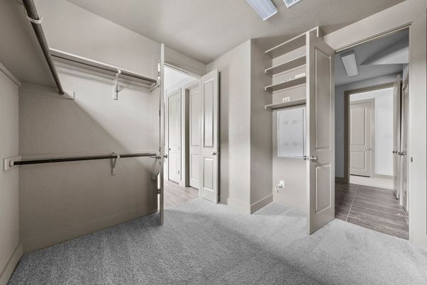 Interior, Walk-in Closets, Wood Texture Flooring