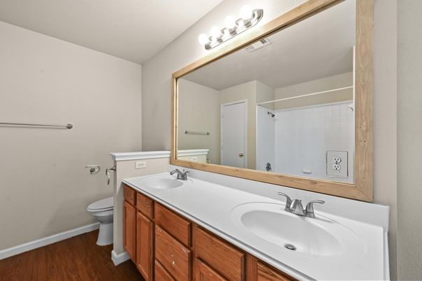 Bathroom, Dual Sink Vanities, Interior, Wood Texture Flooring