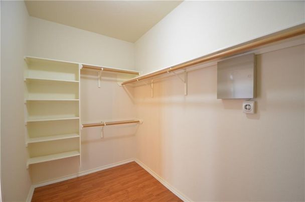 Interior, Walk-in Closets, Wood Texture Flooring
