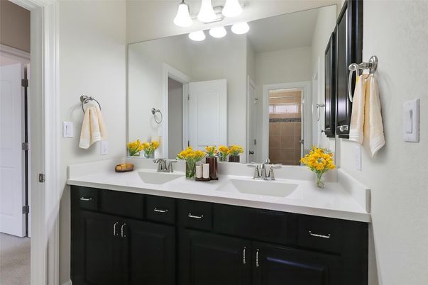 Bathroom, Dual Sink Vanities, Interior