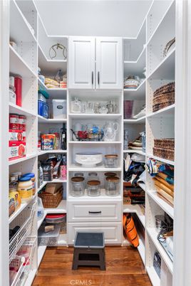 Interior, Walk-in Closets, Wood Texture Flooring