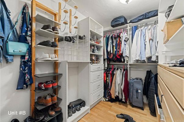 Interior, Walk-in Closets, Wood Texture Flooring