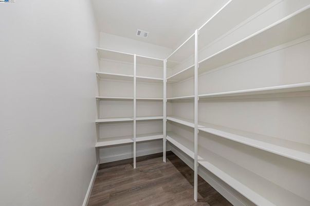 Interior, Walk-in Closets, Wood Texture Flooring