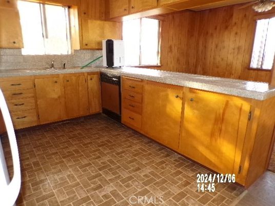 Interior, Kitchen, Wooden Walls