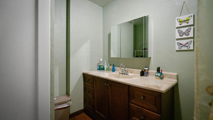 Bathroom, Interior, Wood Texture Flooring
