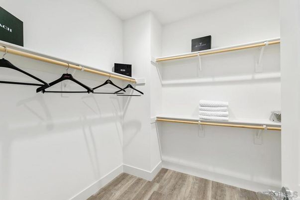 Interior, Walk-in Closets, Wood Texture Flooring