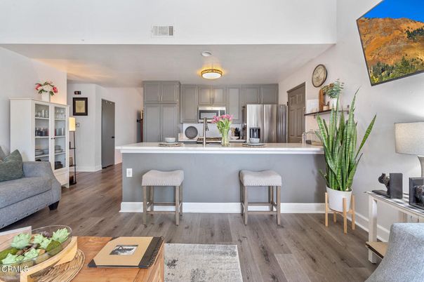 Interior, Kitchen, Stainless Steel Appliances, Wood Texture Flooring