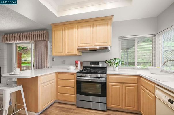 Interior, Kitchen, Stainless Steel Appliances, Wood Texture Flooring