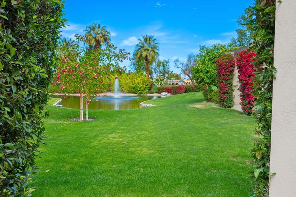 Backyard, Exterior, Water