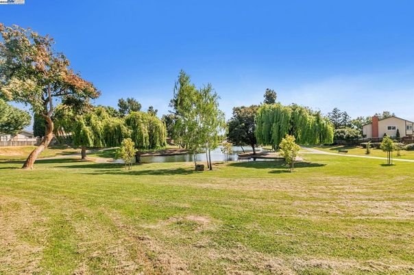 Backyard, Exterior, Lake