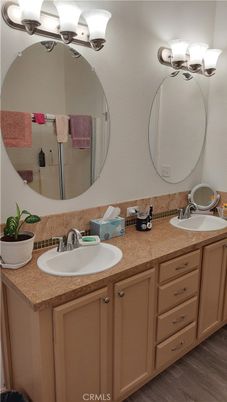 Bathroom, Dual Sink Vanities, Interior, Wood Texture Flooring