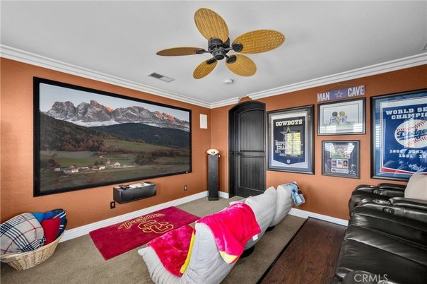 Home Theatre Room, Interior