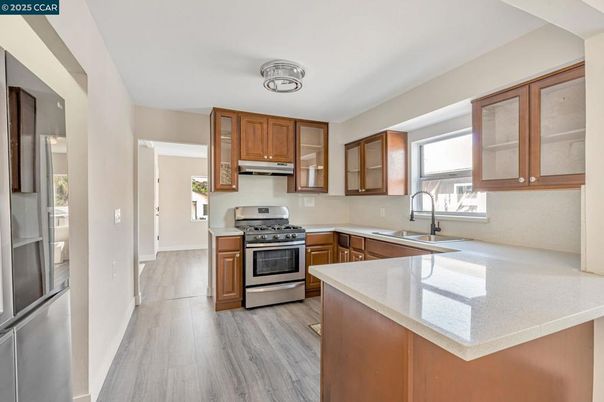 Interior, Kitchen, Stainless Steel Appliances, Wood Texture Flooring