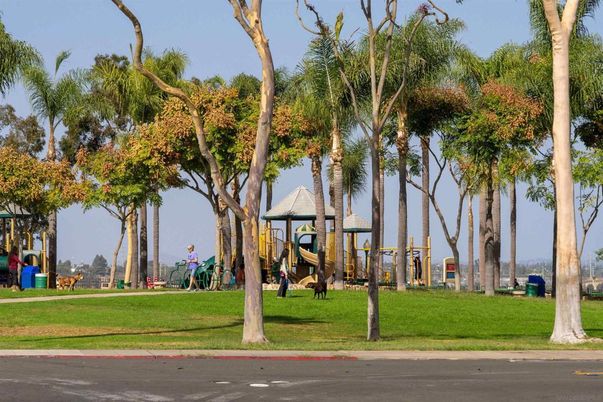 Backyard, Exterior, Playground