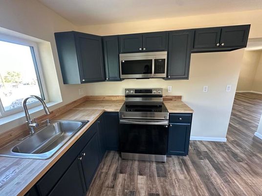 Interior, Kitchen, Stainless Steel Appliances, Wood Texture Flooring